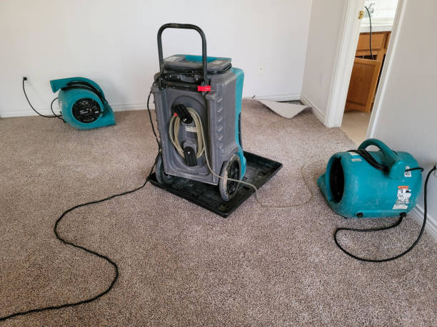 Best Local water damage restoration  in Oostburg, WI