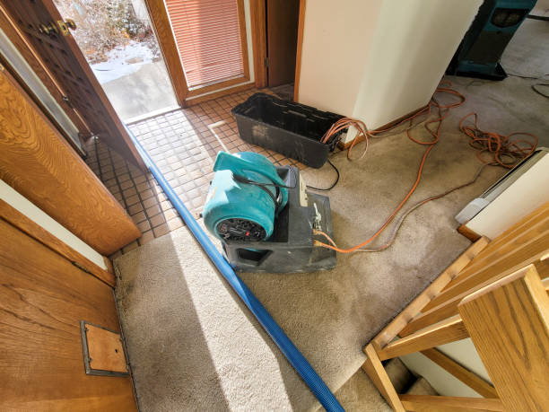Best Water damage restoration near me  in Oostburg, WI