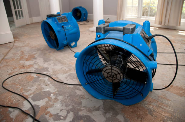 Reliable Oostburg, WI Water damage restoration Solutions