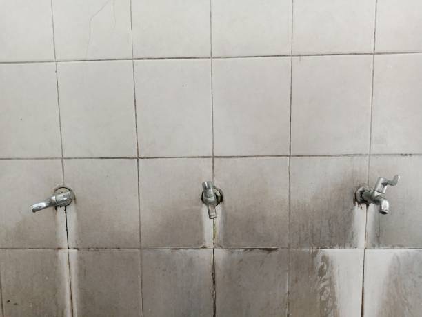 Best 24/7 water damage repair  in Oostburg, WI