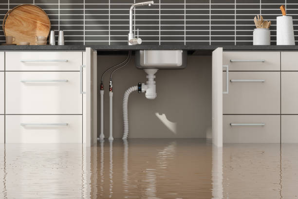 Best 24/7 water damage repair  in Oostburg, WI