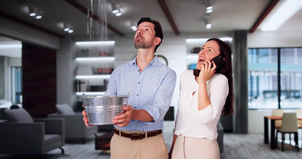 Best Local water damage restoration  in Oostburg, WI