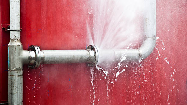 Best Mold removal after water damage  in Oostburg, WI