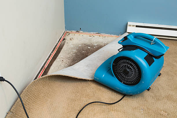 Best Basement water damage restoration  in Oostburg, WI